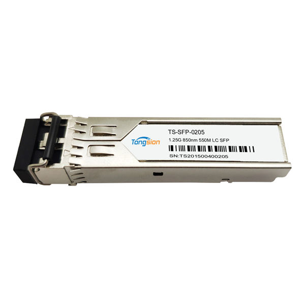 SFP-0205.jpg