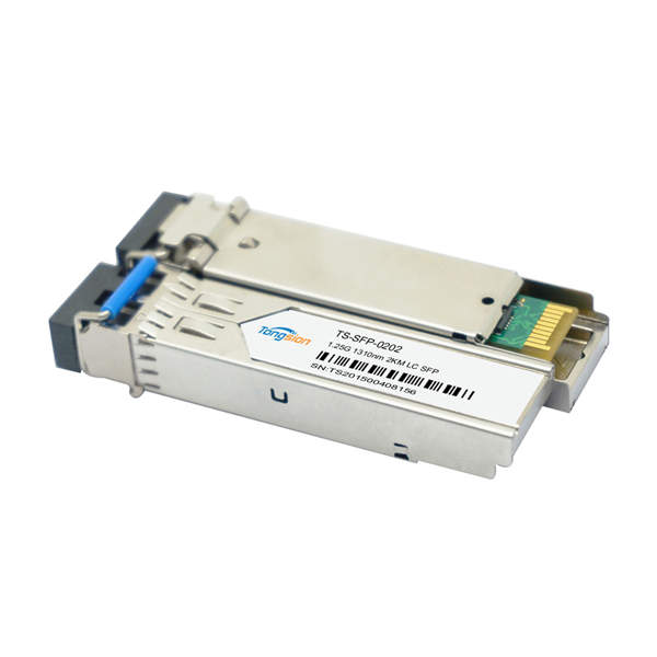 SFP-0202.jpg